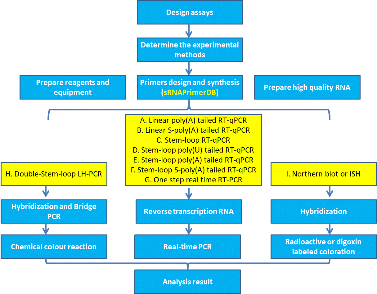 Flowchat