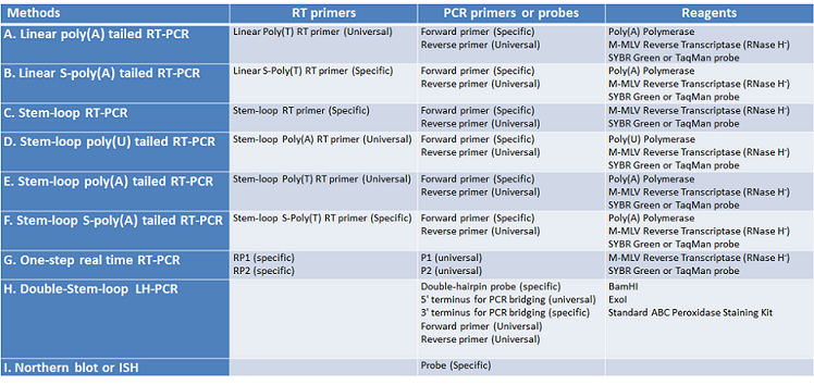 Table 1. Primer design characteristics of different detection methods.